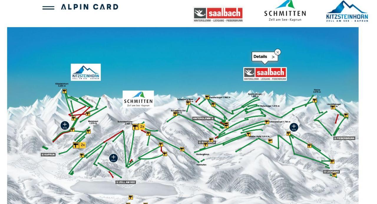 Magali'S, Bed & Breakfast - Inclusive Summer Card Zell am See Bagian luar foto